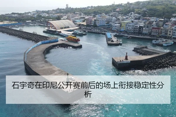 石宇奇在印尼公开赛前后的场上衔接稳定性分析