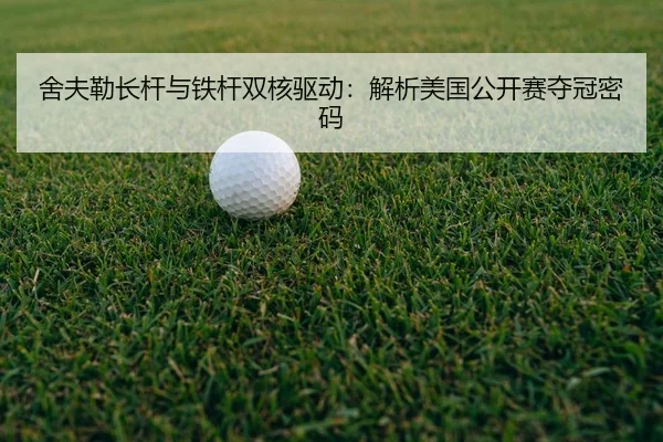 she-fu-lei-zhang-gan-yu-tie-gan-shuang-he-qu-dong-jie-xi-mei-guo-gong-kai-sai-duo-guan-mi-ma-2-540.jpg