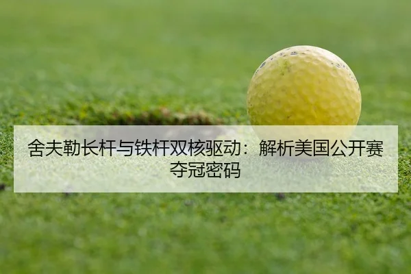 she-fu-lei-zhang-gan-yu-tie-gan-shuang-he-qu-dong-jie-xi-mei-guo-gong-kai-sai-duo-guan-mi-ma-3-935.jpg